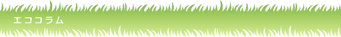 エココラム