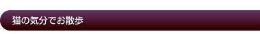猫の気分でお散歩
