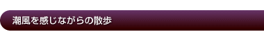 潮風を感じながらの散歩