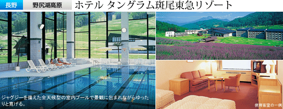 �z�e�� �^���O�����������}���]�[�g